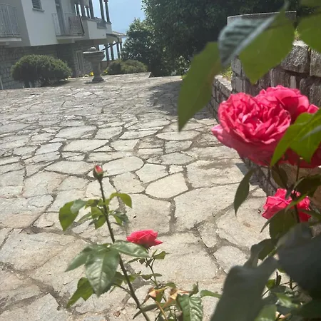 Rosa Del Appartement Gravedona