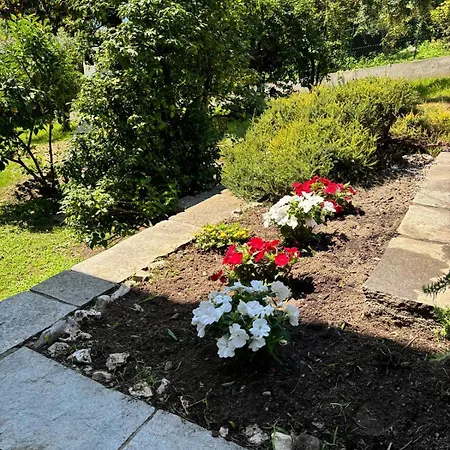 Rosa Del Apartment *