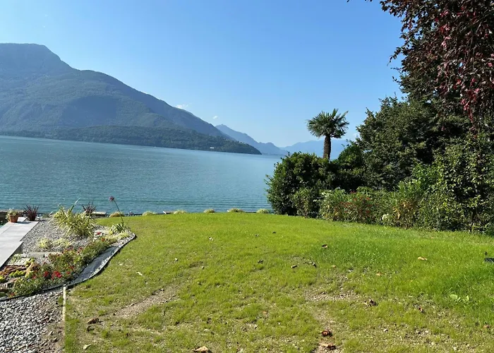 Rosa Del * גראבדונה