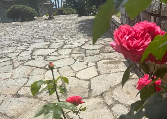 Rosa Del Appartamento Gravedona